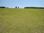 鶴崎スポーツパークの土手